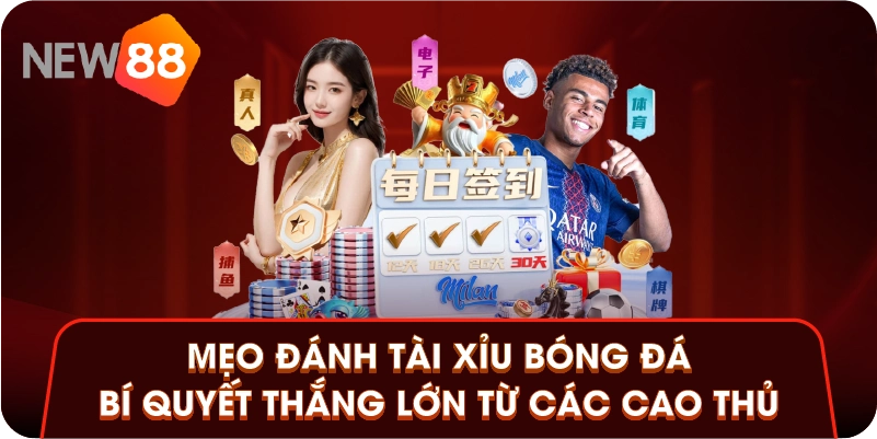 Mẹo đánh tài xỉu bóng đá linh hoạt theo biến động kèo