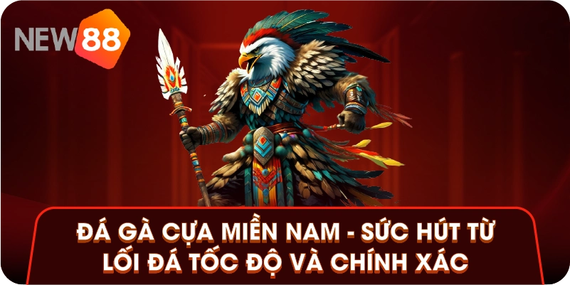 Đá Gà Cựa Miền Nam - Sức Hút Từ Lối Đá Tốc Độ Và Chính Xác